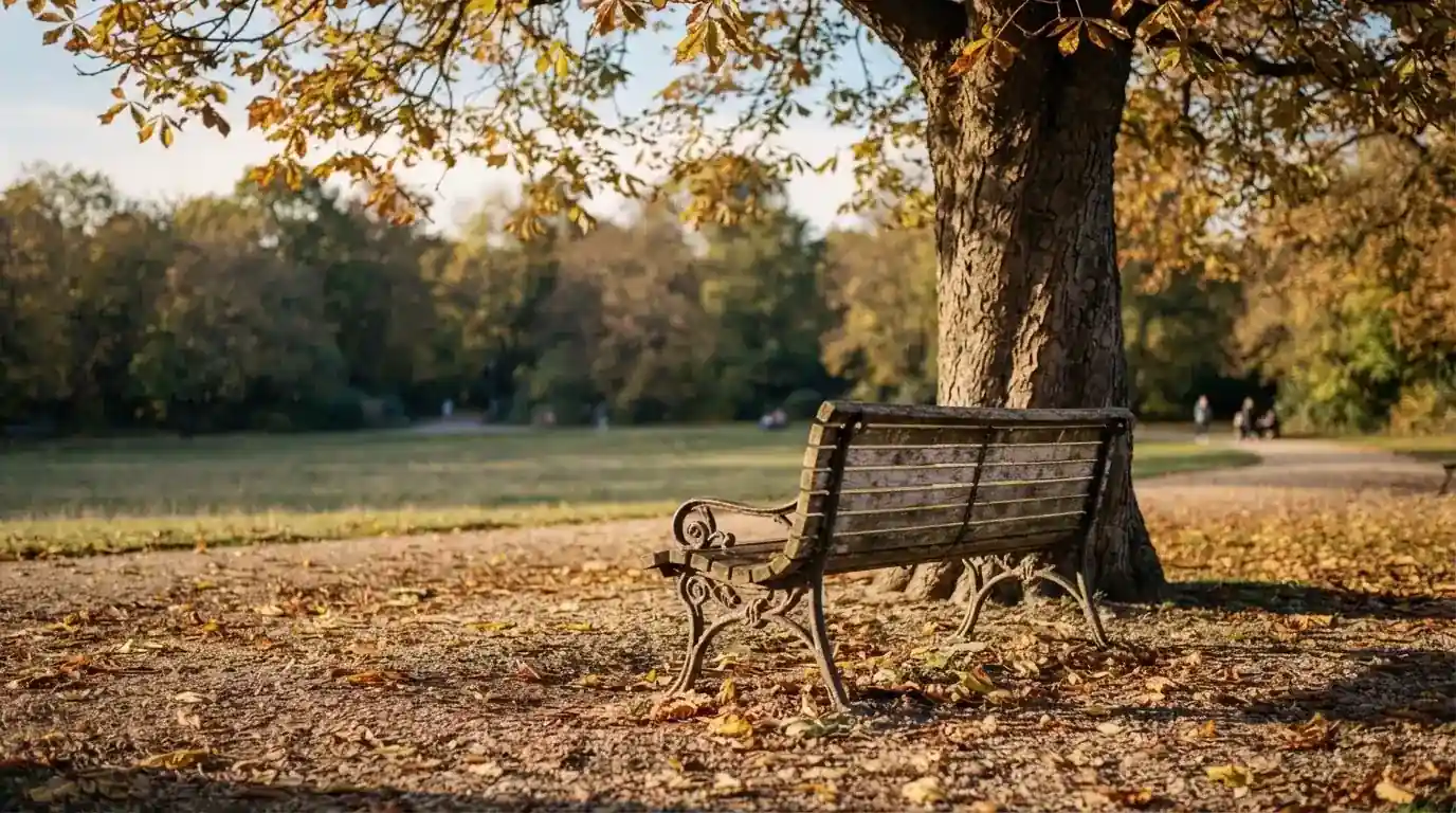 Eine Parkbank unter einer Kastanie im Herbst, auf dem Kiesweg liegen gelbe Blätter.
